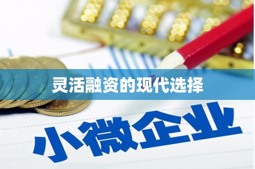 瑞芳灵活融资的现代选择