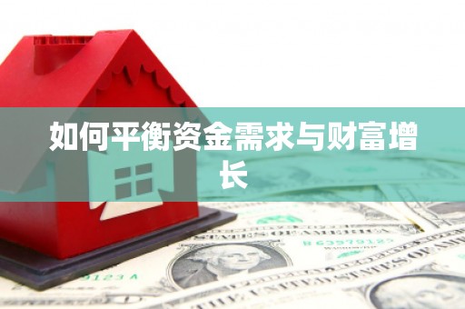 瑞芳如何平衡资金需求与财富增长