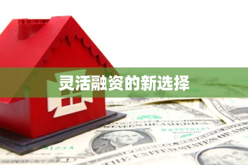 吴起灵活融资的新选择