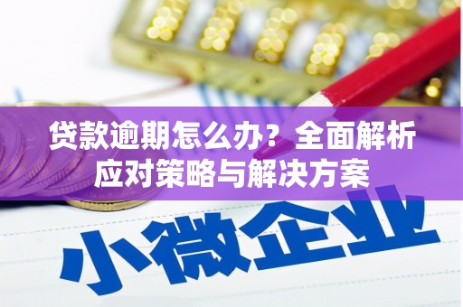 兴宾贷款逾期怎么办？全面解析应对策略与解决方案