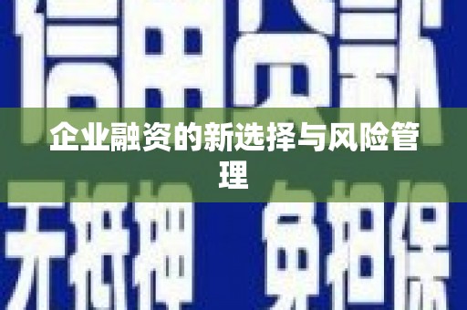 永年企业融资的新选择与风险管理