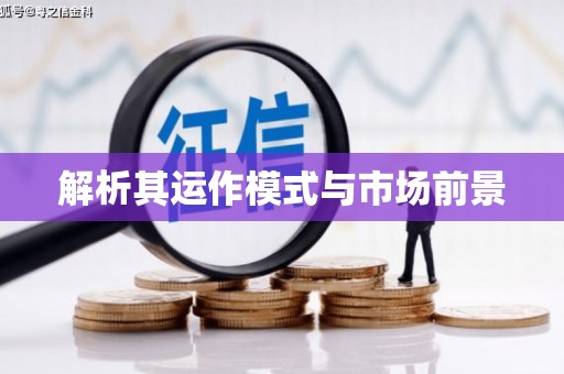 三亚解析其运作模式与市场前景